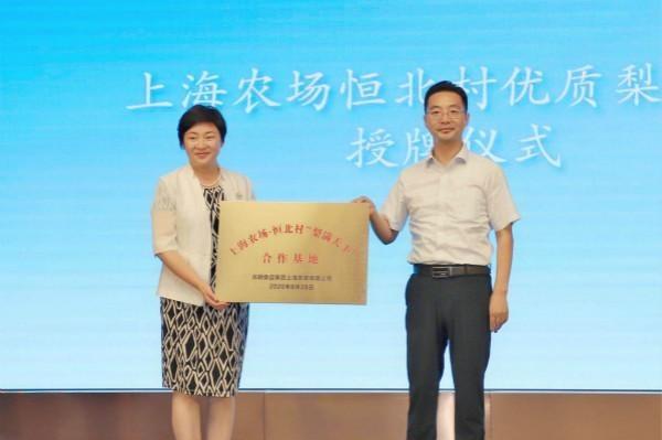 全国最大早酥梨果品生产基地大丰恒北村的优质早酥梨将进入上海市场
